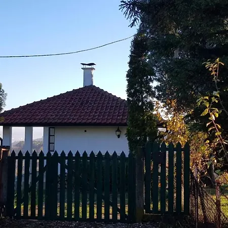 View Point House Holiday home *